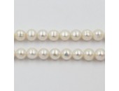 Perles d'Eau Douce Rondes Grade B Ø 6mm