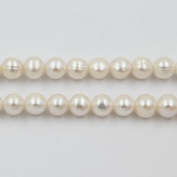 Perles d'Eau Douce Rondes Grade B Ø 8mm