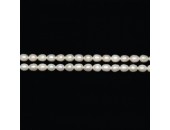 Perles d'Eau Douce ''Grain de Riz'' Blanches Grade A Ø 5/6mm