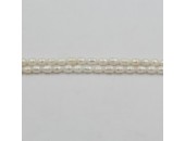 Perles d'Eau Douce ''Grain de Riz'' Blanches Ø 5/6mm