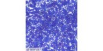 25 Grs MIYUKI Quart TILA Bleu Saphir A/B Transparent Mat