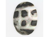 3 ovales Nacre grise 'BLACK LIP' 72x52mm